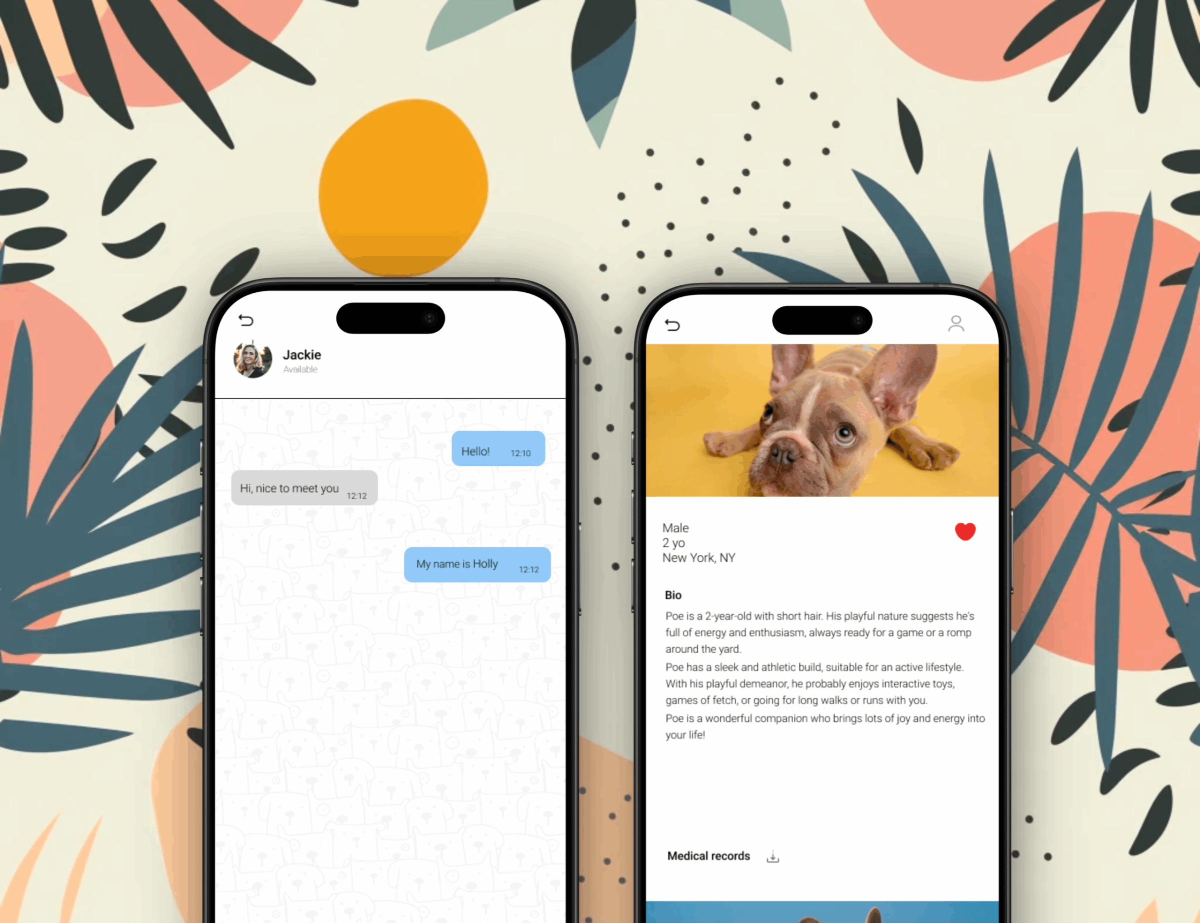 Designing Pet Me Home – A Platform Connecting People and Pets